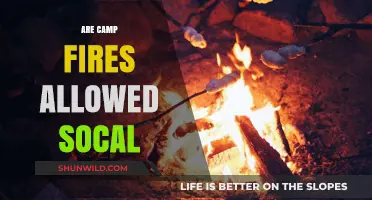 Are Campfires Allowed in Southern California? Rules and Restrictions Explained