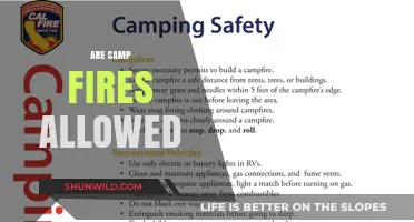 Are Campfires Allowed? Rules, Safety Tips, and Alternatives for Outdoor Adventures