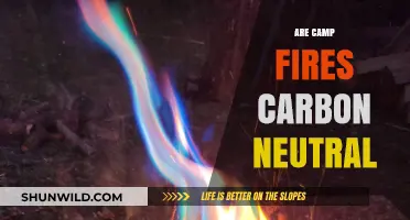 Are Campfires Carbon Neutral? Exploring the Environmental Impact of Bonfires