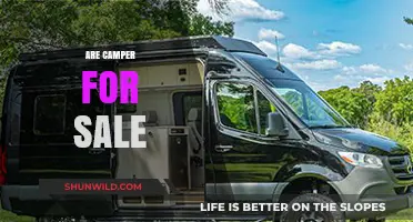 Discover Top Camper Vans for Sale: Your Ultimate Adventure Awaits