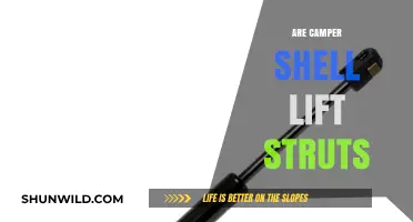 Camper Shell Lift Struts: Essential Upgrade or Optional Accessory?