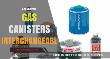 Can You Swap Camping Gas Canisters? Compatibility Guide for Outdoor Cookware
