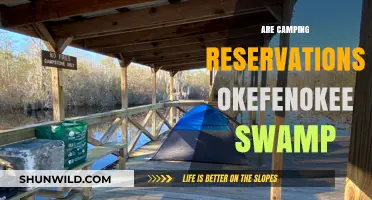Okefenokee Swamp Camping Reservations: Tips for Securing Your Adventure Spot