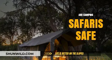 Are Camping Safaris Safe? Exploring Risks and Safety Tips