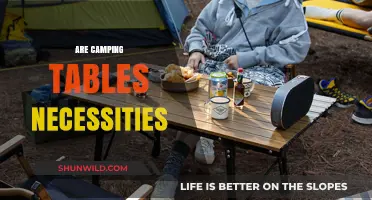 Camping Tables: Essential Gear or Optional Luxury for Outdoor Adventures?