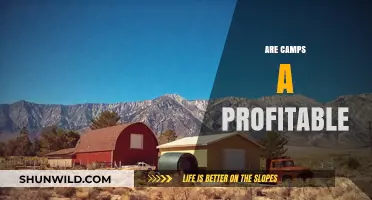 Exploring the Profitability of Camps: A Comprehensive Financial Analysis