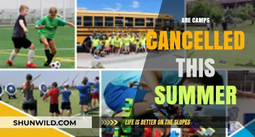Summer Camps 2023: Are They Happening or Cancelled?