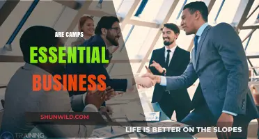 Are Camps Essential for Business Growth and Team Building?