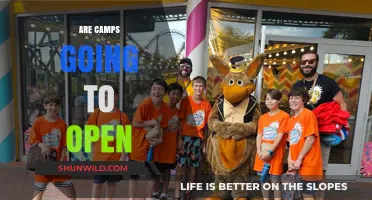 Will Summer Camps Open This Year? Latest Updates and Predictions