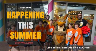 Summer Camps 2023: What to Expect and How to Prepare