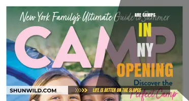 Are NY Summer Camps Opening in 2023? Latest Updates