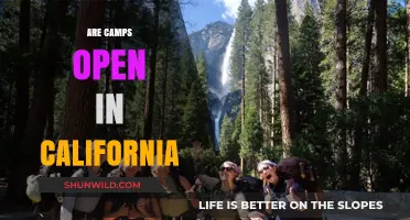 Are California Camps Open? Latest Updates and Guidelines for Visitors