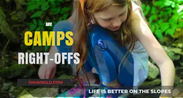 Are Camps Tax Write-Offs? Understanding Deductions for Camp Expenses
