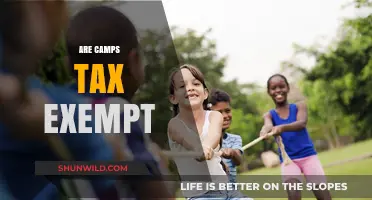 Are Summer Camps Tax Exempt? Understanding Nonprofit Status and Benefits