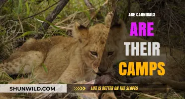 Cannibals in Camps: Unraveling the Myths and Realities of Survival