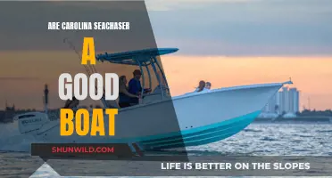 Carolina Seachaser: A Boat Worth Buying?