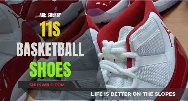 Best Basketball Shoes: Air Jordan Cherry 11s Review