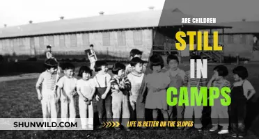 Are Children Still in Camps? A Look at Ongoing Crises