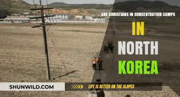 Persecuted Faith: North Korea's Hidden Christian Concentration Camps Revealed
