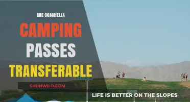 Can You Transfer Coachella Camping Passes? A Quick Guide