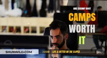 Are Coding Bootcamps Worth It? Pros, Cons, and ROI Explained