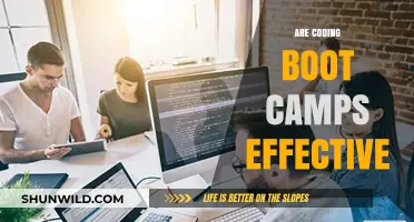 Are Coding Boot Camps Effective? Unveiling the Truth Behind the Hype