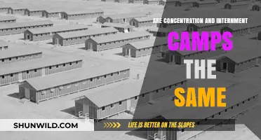 Concentration vs. Internment Camps: Understanding the Key Differences