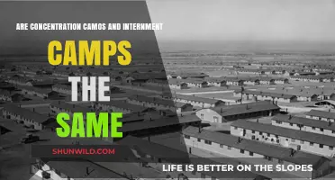 Concentration Camps vs. Internment Camps: Understanding the Key Differences