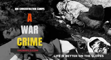 Concentration Camps: War Crime or Justified Military Strategy?