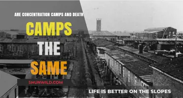 Concentration Camps vs. Death Camps: Understanding the Key Differences