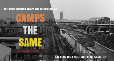 Concentration Camps vs. Extermination Camps: Understanding the Key Differences