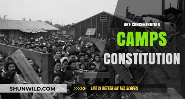 Are Concentration Camps Constitutional? Analyzing Legal and Ethical Boundaries