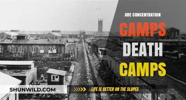 Concentration Camps vs. Death Camps: Unraveling the Historical Distinction