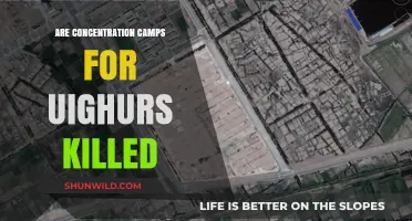 Unveiling the Truth: Uyghur Concentration Camps and Alleged Atrocities