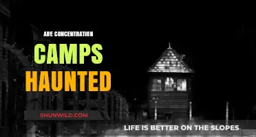 Are Concentration Camps Haunted? Exploring the Paranormal Legacy of Tragedy