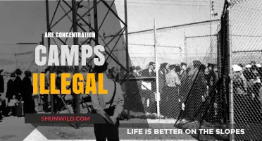 Are Concentration Camps Illegal? Exploring International Law and Human Rights