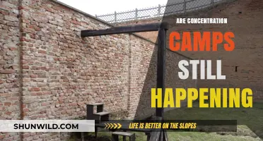 Concentration Camps in the Modern Era: A Chilling Reality Check
