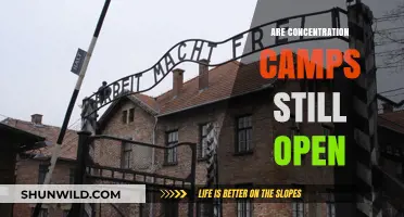 Are Concentration Camps Still Open? A Chilling Reality Check