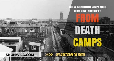 Concentration Camps vs. Death Camps: Historical Differences Explained