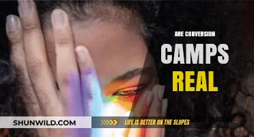 Unveiling the Truth: Are Conversion Camps a Real Global Issue?