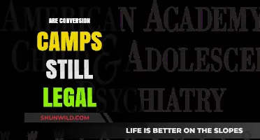 Are Conversion Camps Still Legal? Uncovering the Truth and Current Status