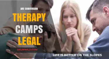 Are Conversion Therapy Camps Legal? Exploring the Current Legal Landscape