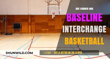 Corners and Baselines: Interchangeable in Basketball?