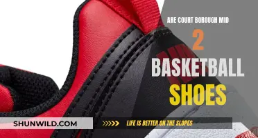 Court Borough Mid 2: A Basketball Shoe Review