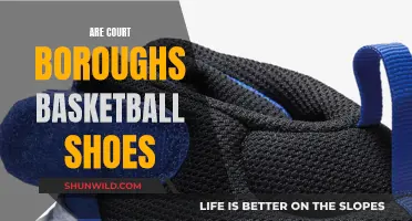 Court Boroughs: Are They the Perfect Basketball Shoes?