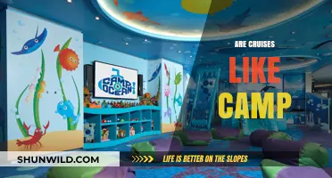 Cruises vs. Camp: Uncovering Similarities in Adventure and Community