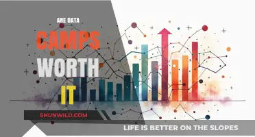 Are Data Camps Worth It? Pros, Cons, and ROI Explained