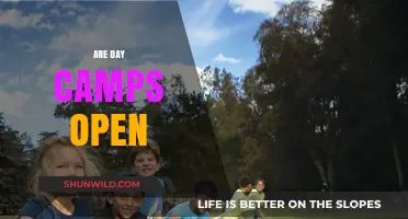 Are Day Camps Open This Summer? Your Ultimate Guide to Availability