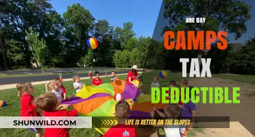 Are Day Camps Tax Deductible? A Parent's Guide to Savings