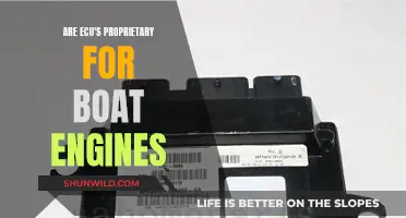 Boat Engine ECU Secrets: Proprietary or Universal?